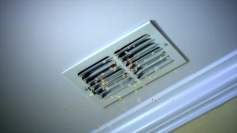 Best Professional Duct Cleaning Services  in Darby, PA