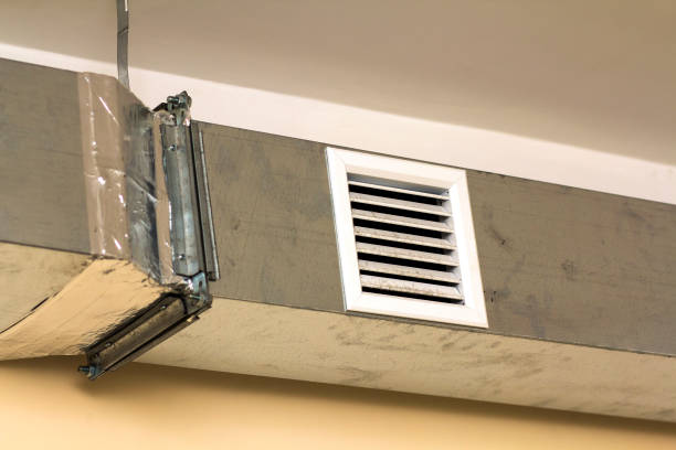 Air Duct Mold Removal in Darby, PA